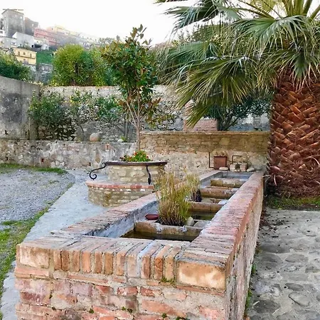 San Francesco * Ciro