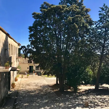San Francesco *